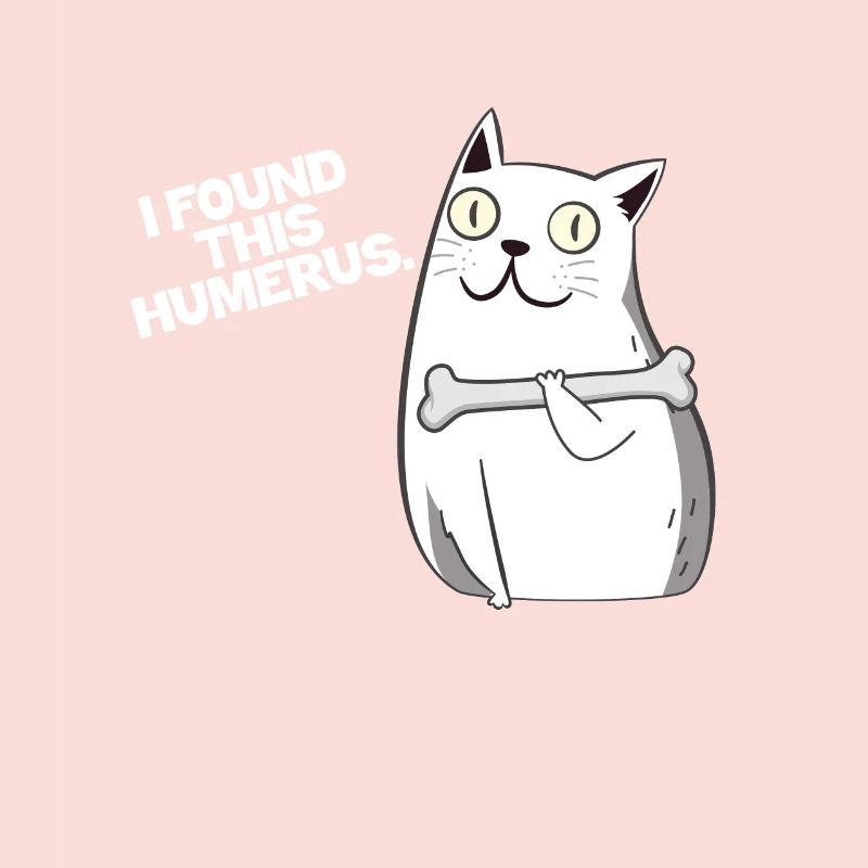 Cat bone humerus