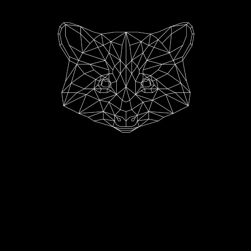 raton laveur
