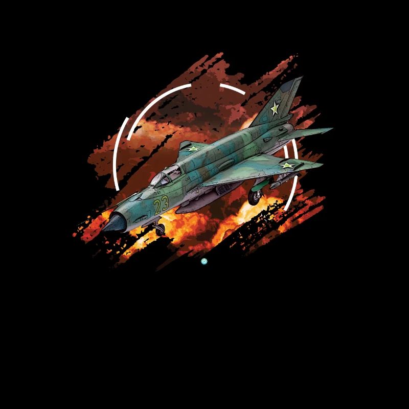 MIG 21 Luftwaffe pilot gift