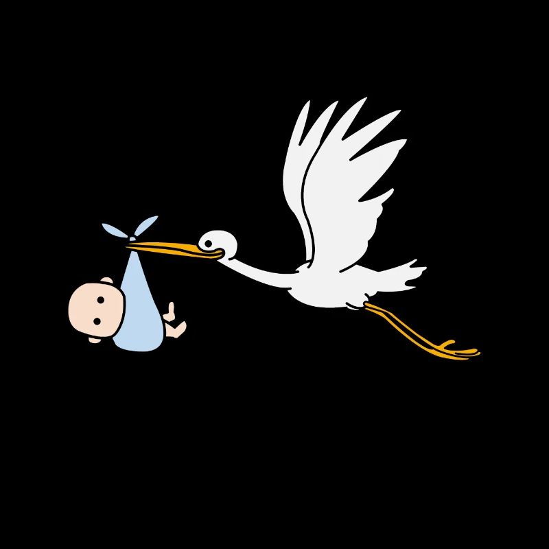 Bébé cigogne