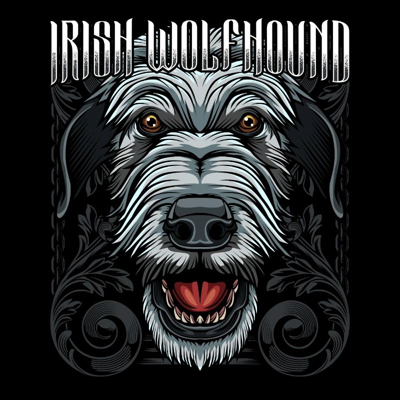 Lévrier irlandais