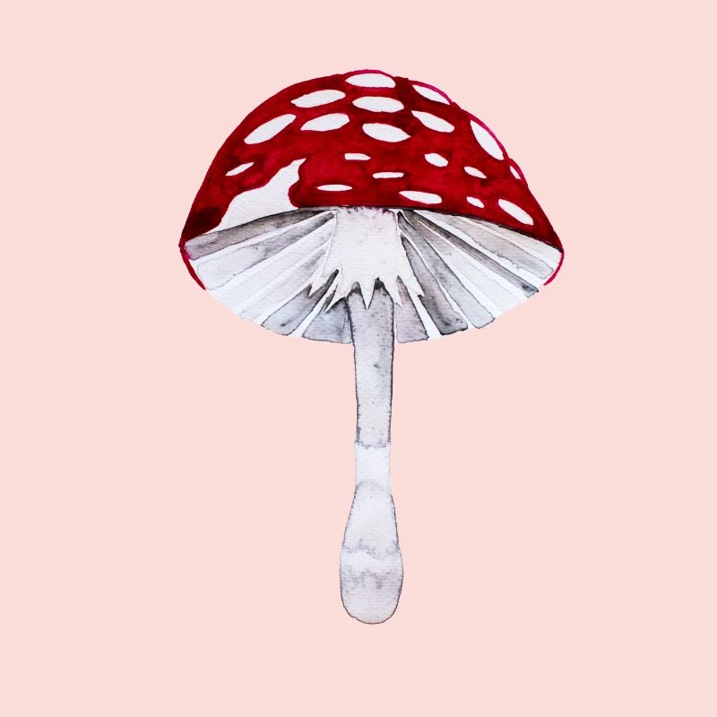 Toadstool I Un cadeau de la chance