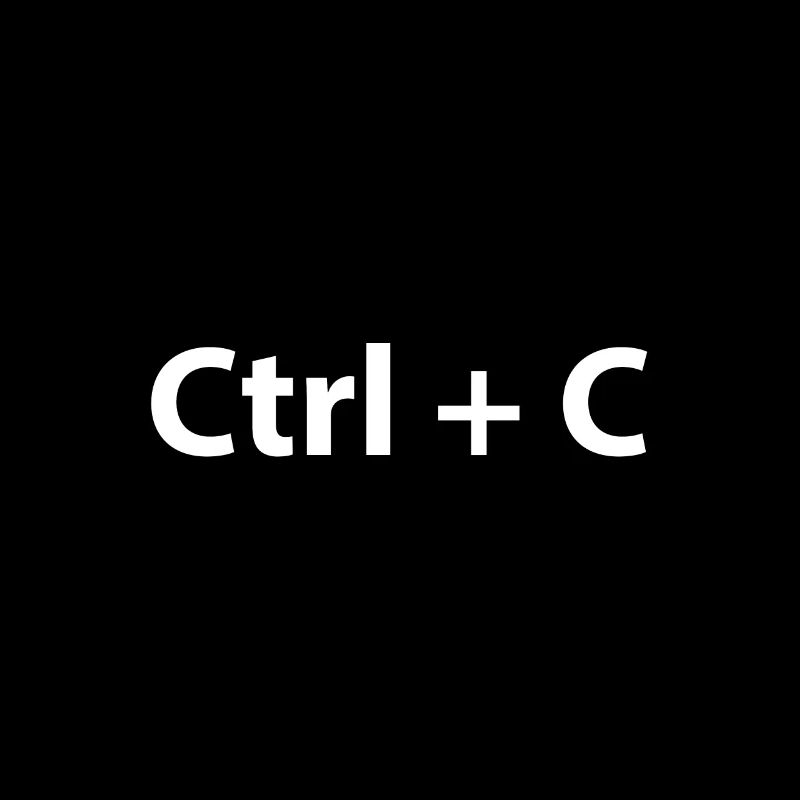 Ctrl C Ctrl V Copy Paste Twins