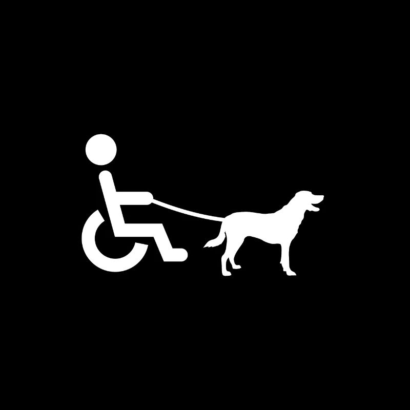 Rollstuhlfahrer Geschenk Labrador Lustig Hund