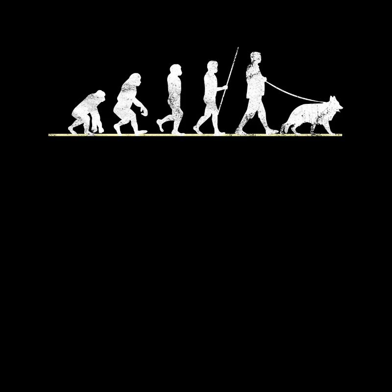 Chien de berger allemand Evolution