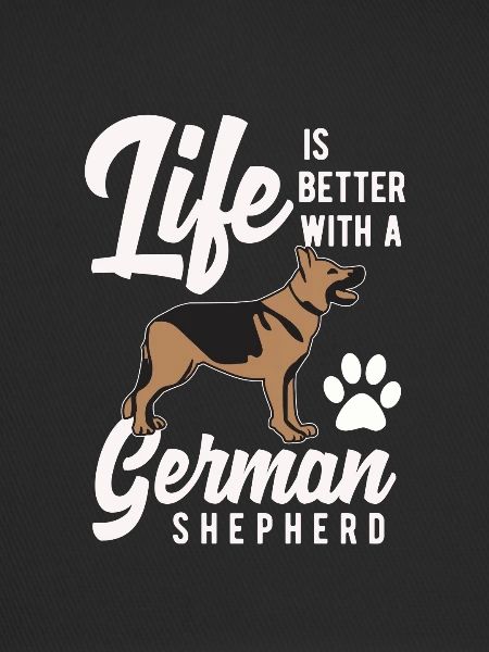 German shepherd dog