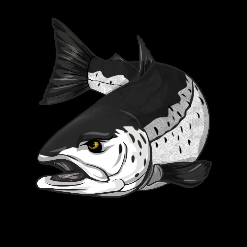 Pêche à la truite de mer - Pêche côtière Mefo
