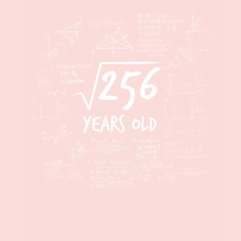 16th birthday root from 256 math nerd