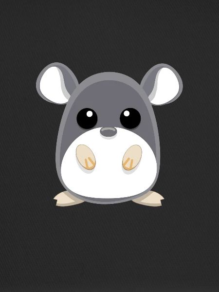 Sweet chinchilla