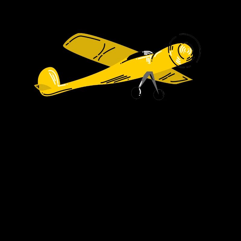 Flugzeug