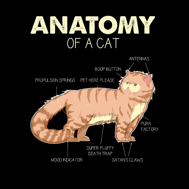 Anatomie de chat d'un chat - cadeaux de chat drôle