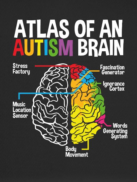 À Autism Brain