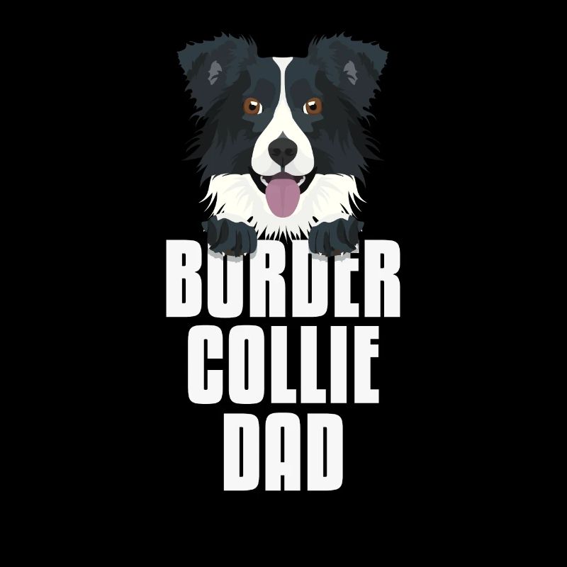Border Collie Dad, papa chien