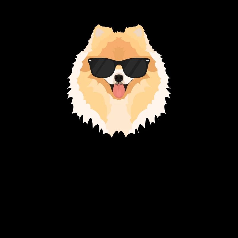 My dwarf spitz is the coolest