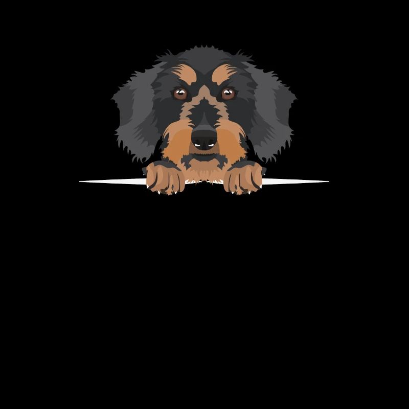 Smiling rough-haired dachshund