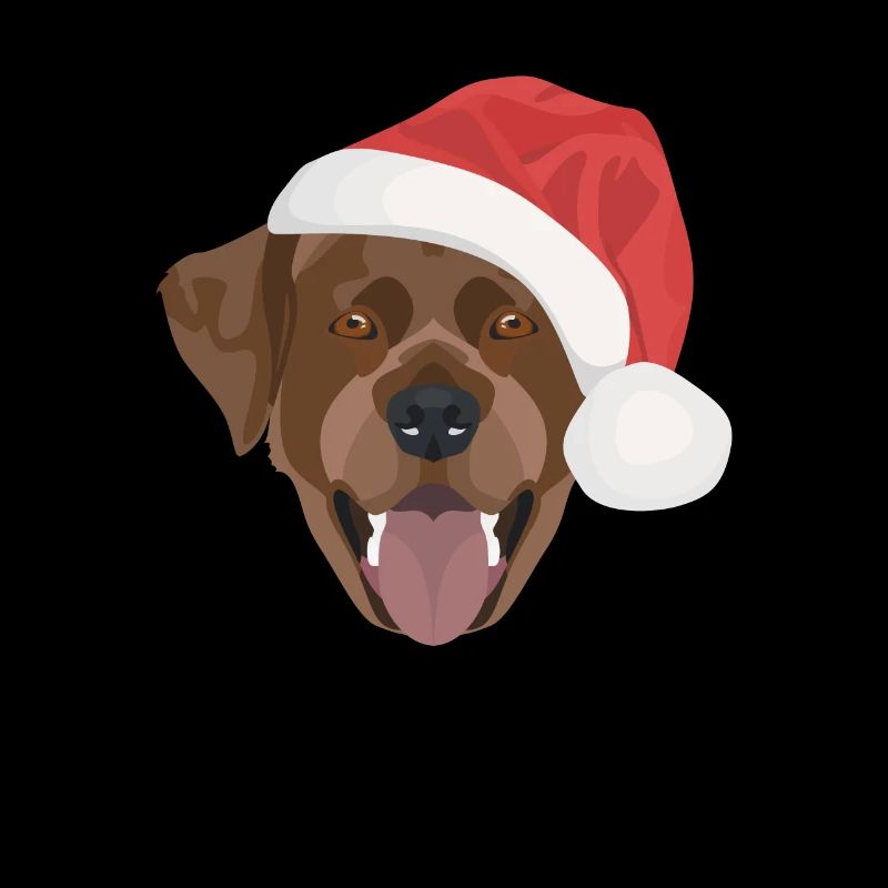 Labrador Weihnachten