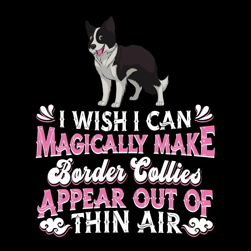 Border Collie Chien