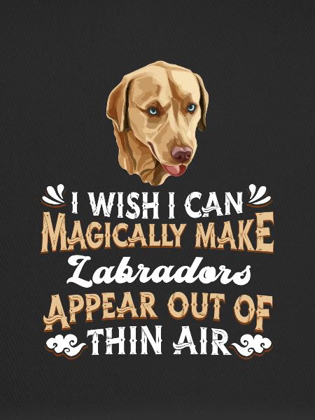 Labrador Dog