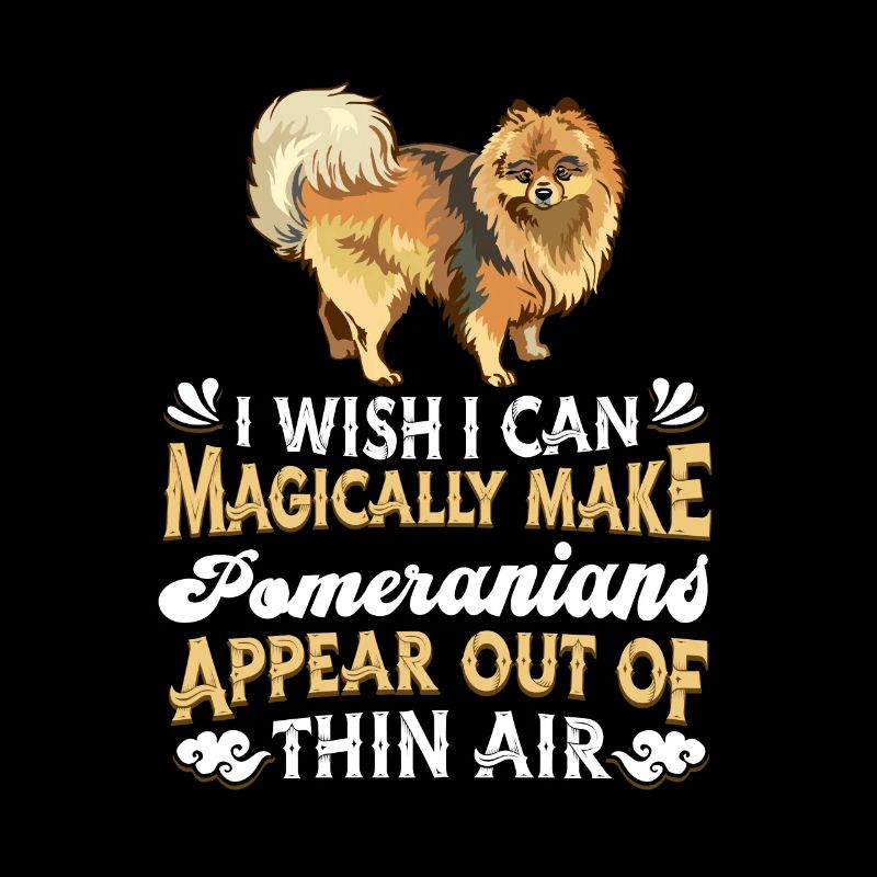 Chien de Poméranie