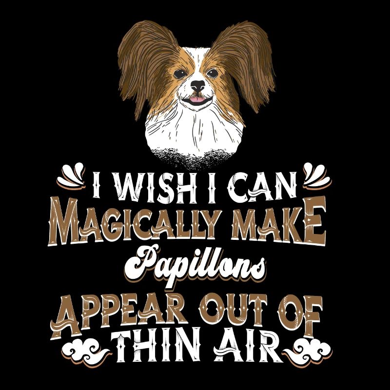 Papillon Chien