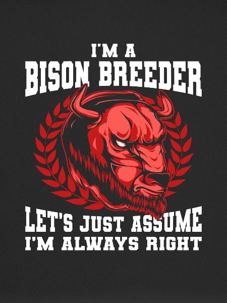American Bison Buffalo