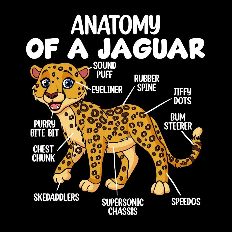 Anatomie d’un jaguar
