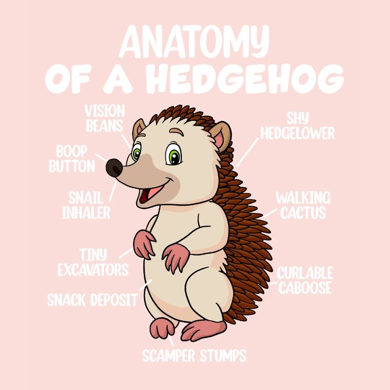 Anatomie d’un hérisson