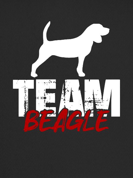 Team Beagle