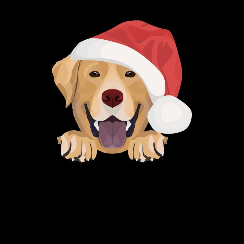 Joyeux Noël Labrador