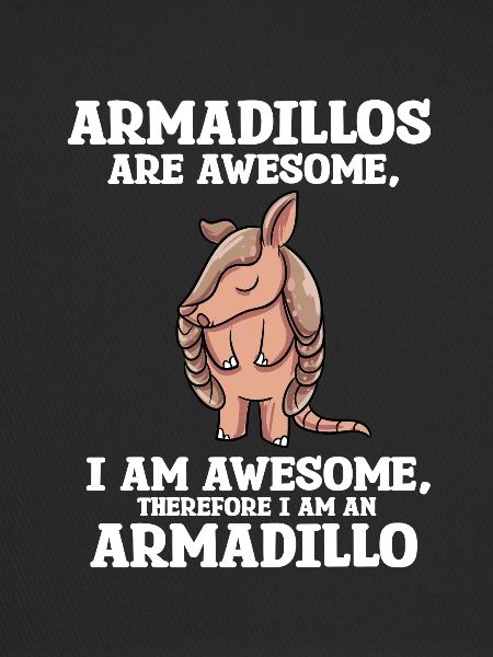 Armadillo Gift
