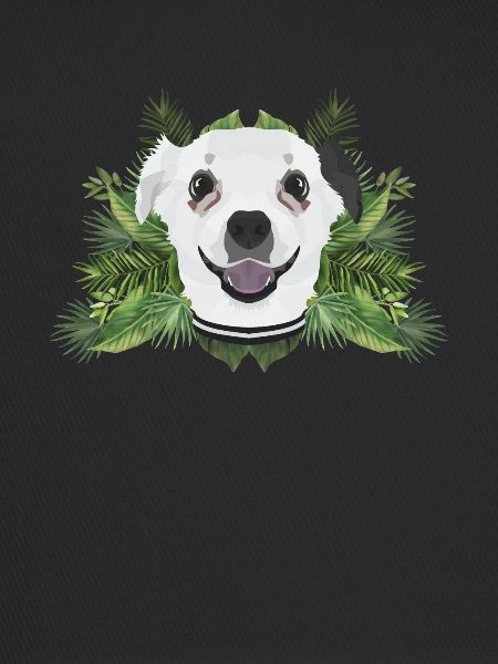 Tropical Chihuahua
