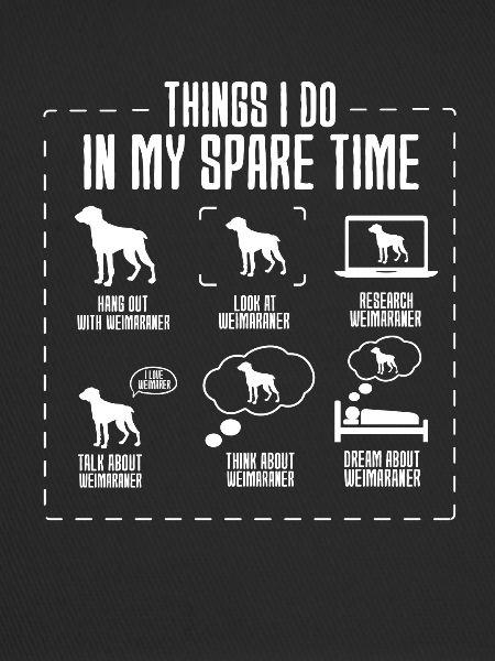 Weimaraner