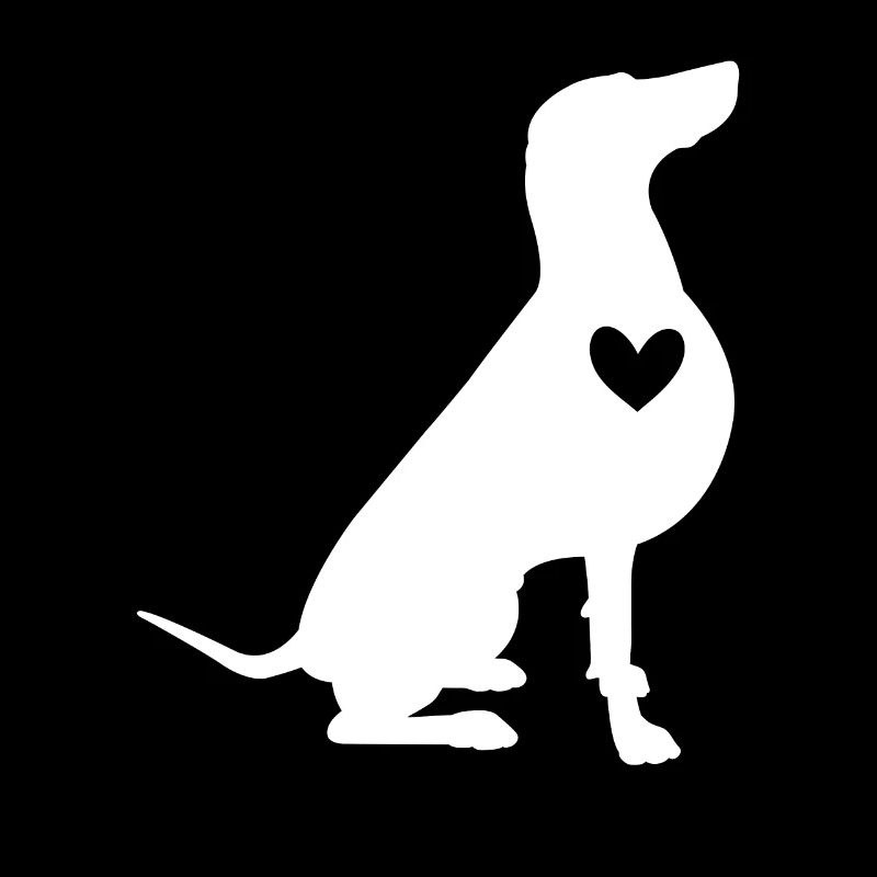 Weimaraner