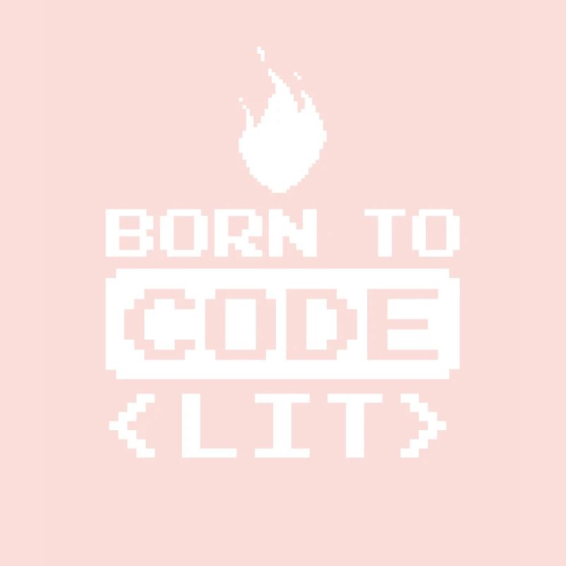 Developer Coder Programmer Funny