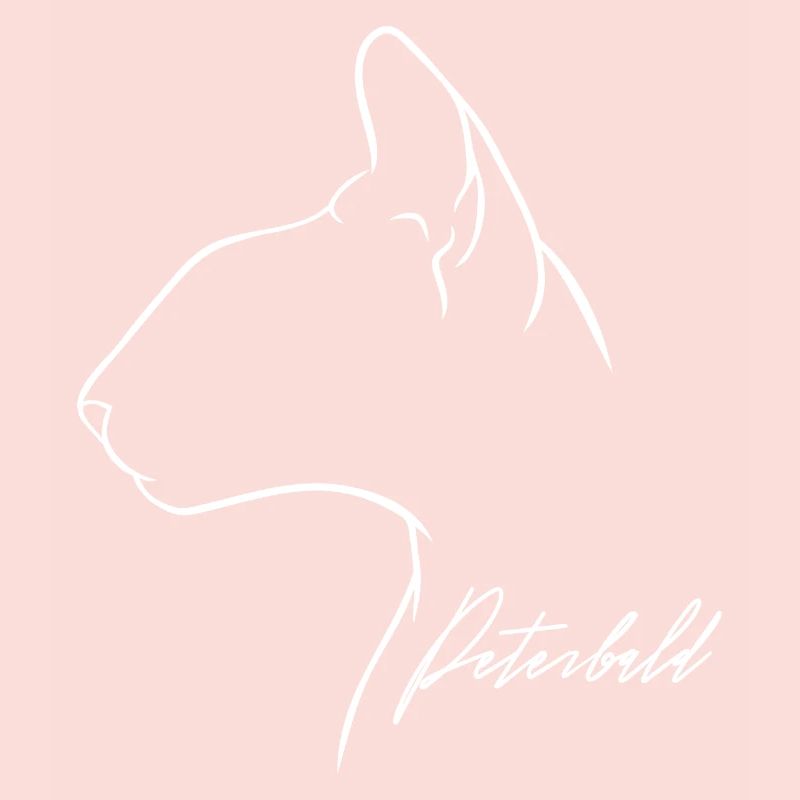 Peterbald Profil Chat Chat Wilsigns