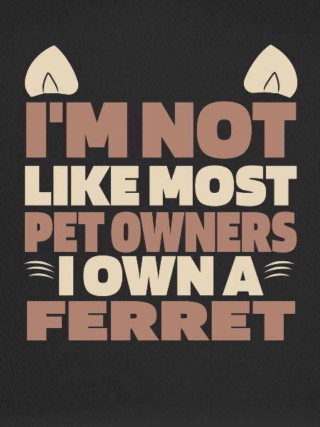 Ferret polecat