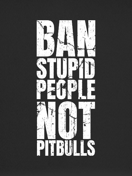 Pitbull Pitbull Ban