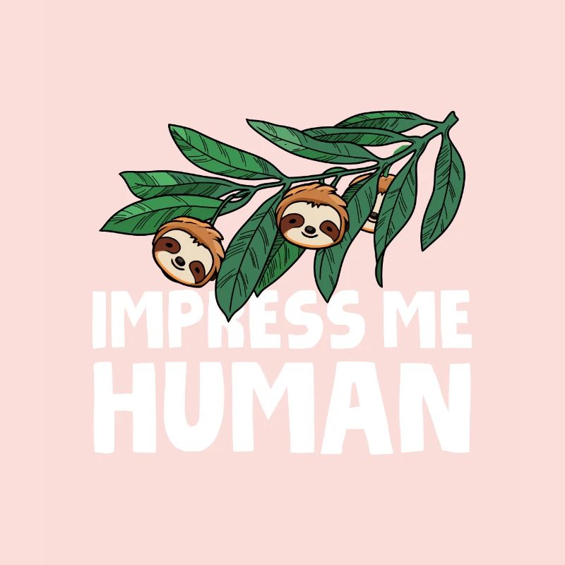 Sloth Cool