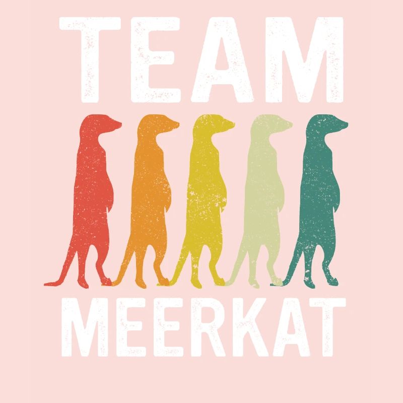 Erdmännchen Tier Erdmann