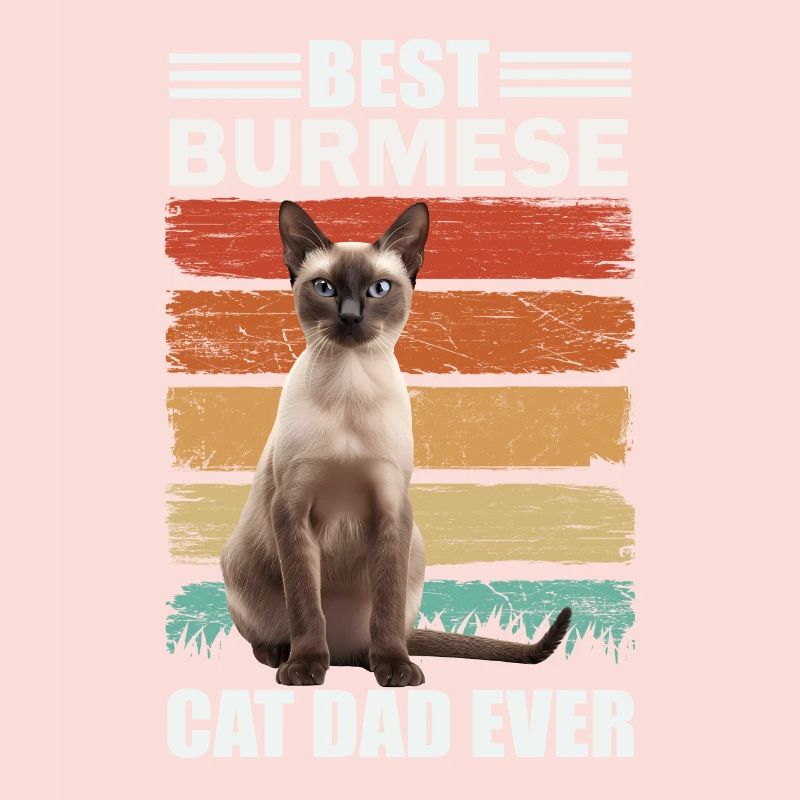 Birman papa chat