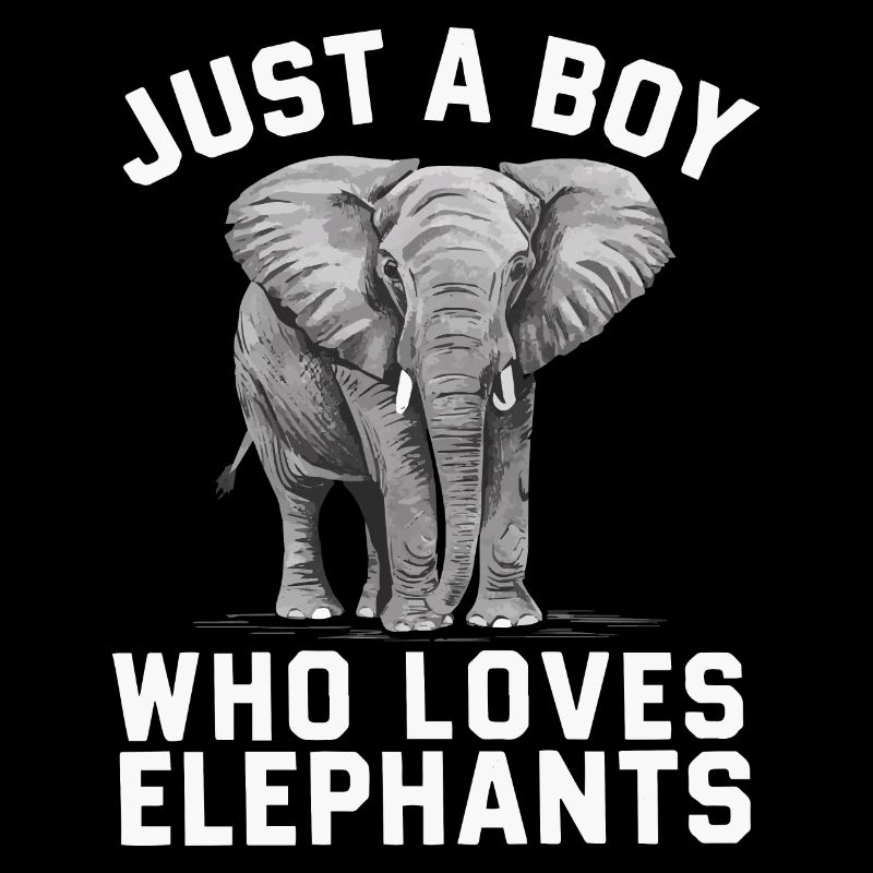 Elefant Tier Elefanten Zoo