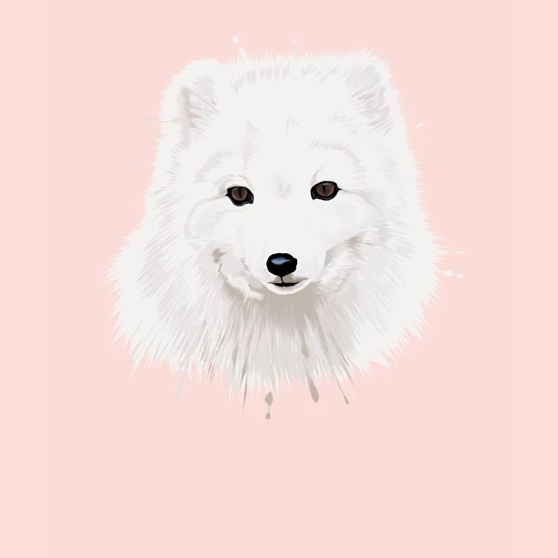Arctic Fox