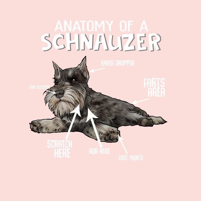 Schnauzer chien schnauzer géant