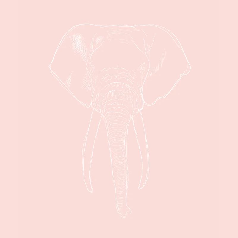 Éléphant