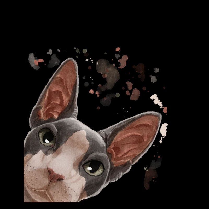 Neugierige Sphynx Katze