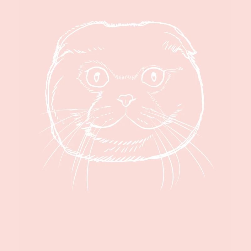 Scottish Fold Chat
