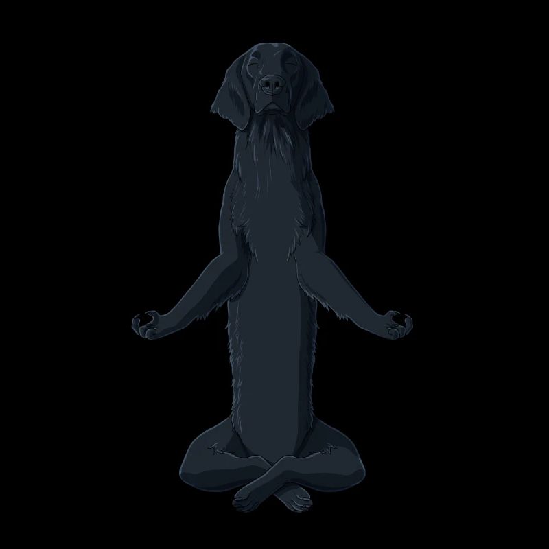 Meditating Flat Coated Retriever Dog