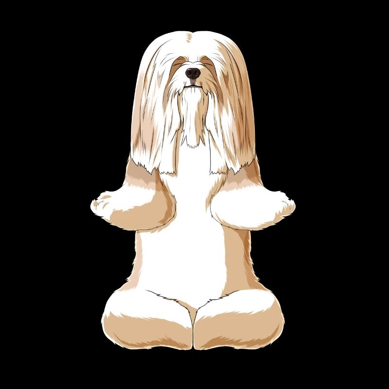 Méditant chien Lhasa Apso