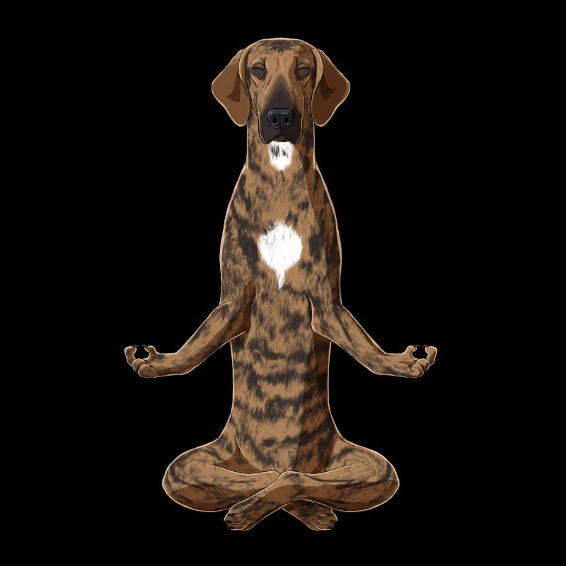 Meditierender Plott Hound Hund