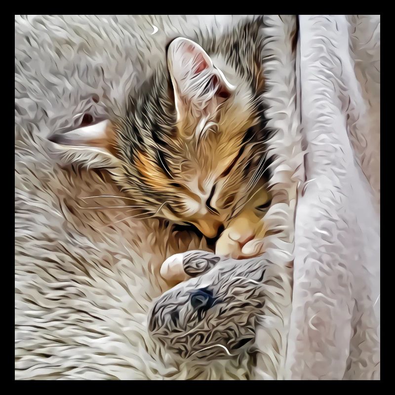 Kitten sleeping with favorite toy mouse
